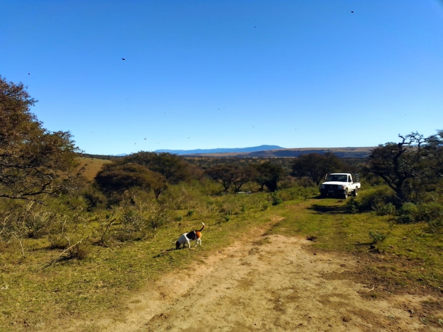 0 Bedroom Property for Sale in Stutterheim Rural Eastern Cape